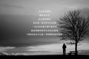 华体会登陆-防线与弯道，当森林狼的禁飞区遇上米切尔的冠军弯