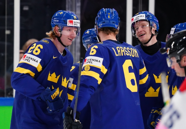 华体会登陆-波兰队横扫瑞典队，王皓统治全场  第2张