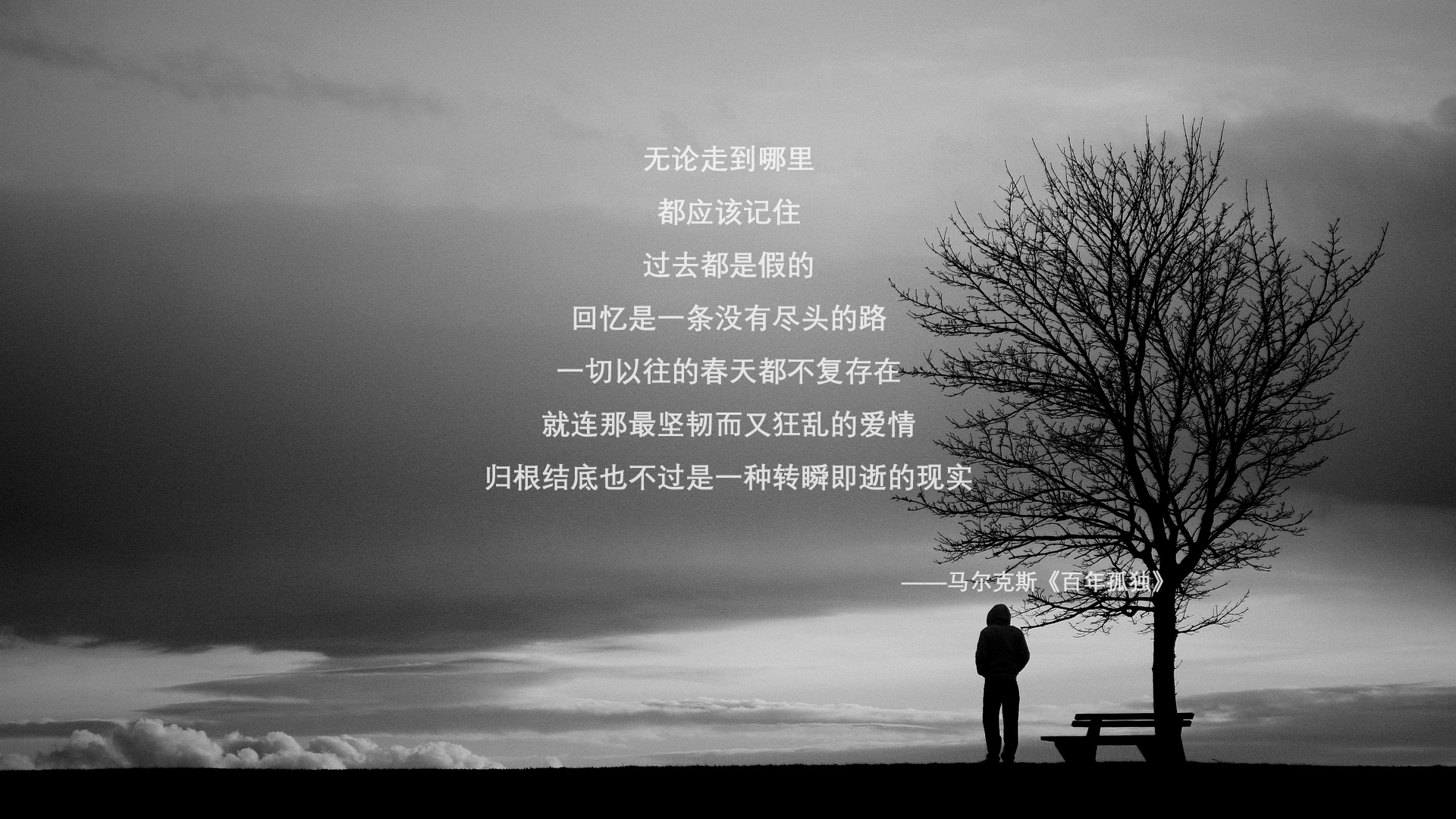 华体会登陆-防线与弯道,当森林狼的禁飞区遇上米切尔的冠军弯 第1张 华体会登陆-防线与弯道,当森林狼的禁飞区遇上米切尔的冠军弯 第1张