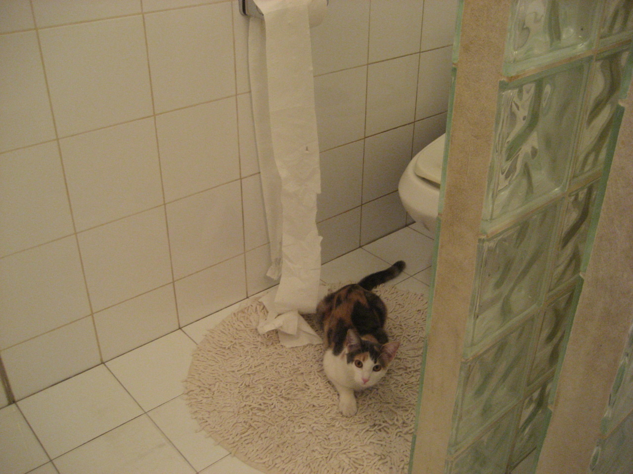 华体会hth-赛道与球场的逆转哲学，当F1街道赛遇见NBA绝地反击  第1张