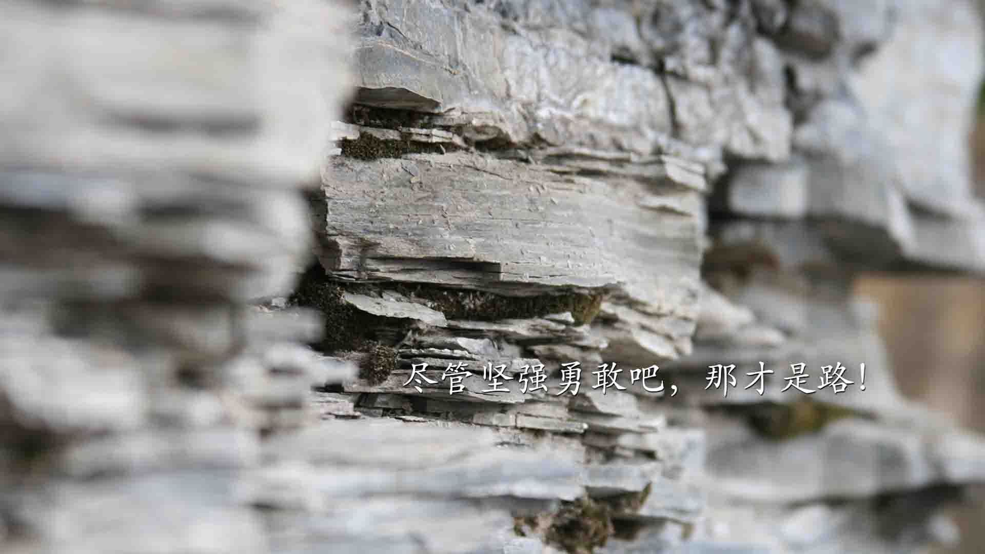 华体会hth-多伦多之夜,当枫叶之国在补时刺穿沙漠,德容的脚尖改写了足球版图 第2张 华体会hth-多伦多之夜,当枫叶之国在补时刺穿沙漠,德容的脚尖改写了足球版图 第2张